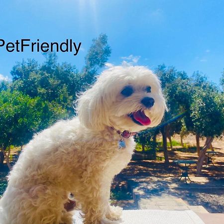 Bungalow Sequero #Pet Friendly Туйнехе Экстерьер фото